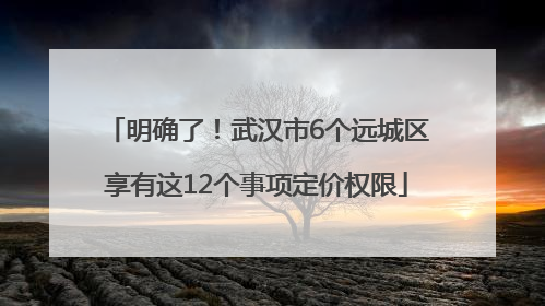 明确了！武汉市6个远城区享有这12个事项定价权限