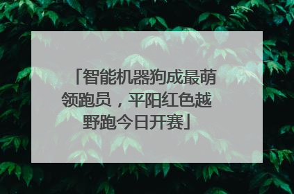 智能机器狗成最萌领跑员，平阳红色越野跑今日开赛