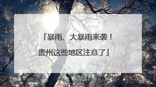 暴雨、大暴雨来袭！贵州这些地区注意了
