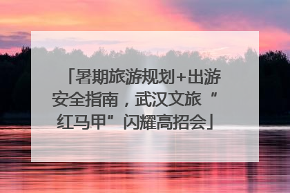 暑期旅游规划+出游安全指南，武汉文旅“红马甲”闪耀高招会