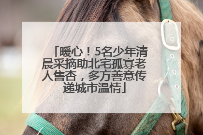 暖心！5名少年清晨采摘助北宅孤寡老人售杏，多方善意传递城市温情