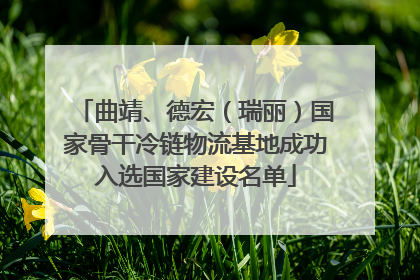 曲靖、德宏（瑞丽）国家骨干冷链物流基地成功入选国家建设名单