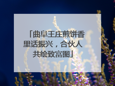 曲阜王庄煎饼香里话振兴，合伙人共绘致富图