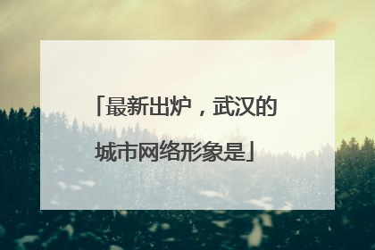 最新出炉，武汉的城市网络形象是