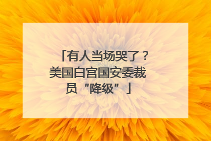 有人当场哭了？美国白宫国安委裁员“降级”