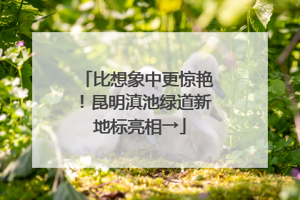 比想象中更惊艳！昆明滇池绿道新地标亮相→