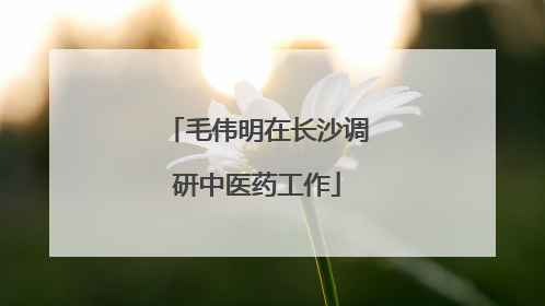 毛伟明在长沙调研中医药工作