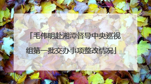 毛伟明赴湘潭督导中央巡视组第一批交办事项整改情况