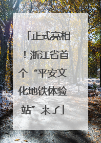 正式亮相！浙江省首个“平安文化地铁体验站”来了
