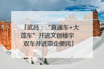 武昌：“直通车+大篷车”开进文创楼宇 双车并进惠企便民