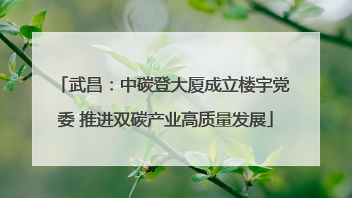 武昌：中碳登大厦成立楼宇党委 推进双碳产业高质量发展