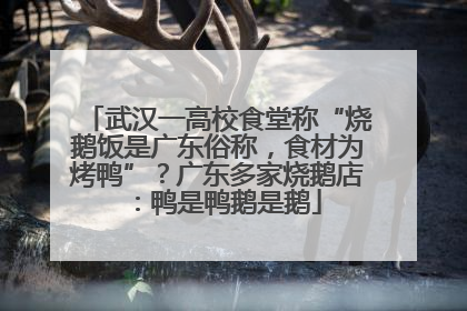 武汉一高校食堂称“烧鹅饭是广东俗称，食材为烤鸭”？广东多家烧鹅店：鸭是鸭鹅是鹅