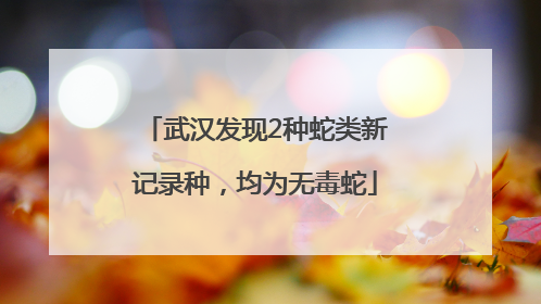 武汉发现2种蛇类新记录种，均为无毒蛇