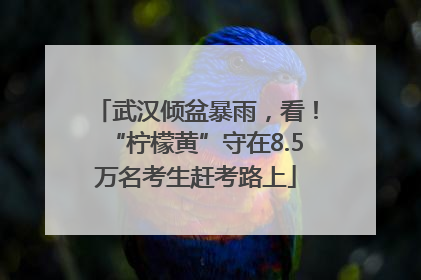 武汉倾盆暴雨，看！“柠檬黄”守在8.5万名考生赶考路上