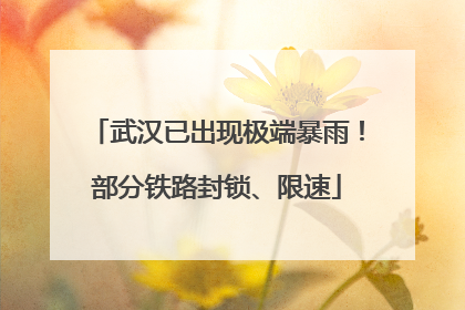 武汉已出现极端暴雨！部分铁路封锁、限速