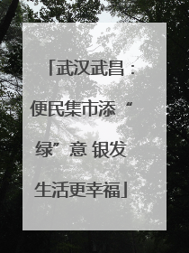 武汉武昌：便民集市添“绿”意 银发生活更幸福