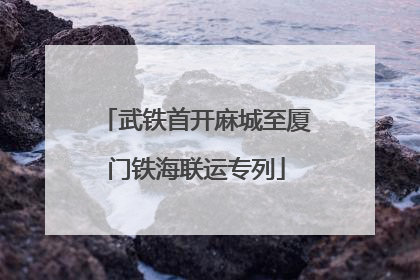 武铁首开麻城至厦门铁海联运专列