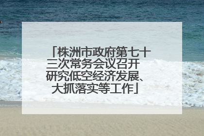 株洲市政府第七十三次常务会议召开 研究低空经济发展、大抓落实等工作