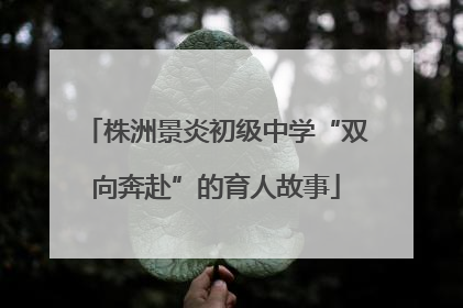 株洲景炎初级中学“双向奔赴”的育人故事