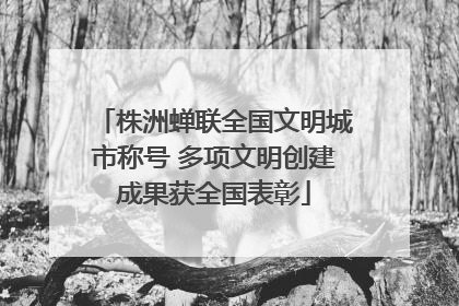 株洲蝉联全国文明城市称号 多项文明创建成果获全国表彰