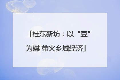 桂东新坊：以“豆”为媒 带火乡域经济