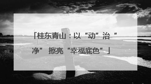 桂东青山：以“动”治“净” 擦亮“幸福底色”