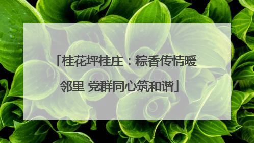 桂花坪桂庄：粽香传情暖邻里 党群同心筑和谐