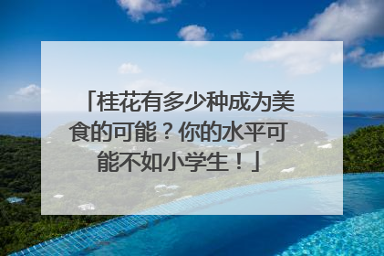 桂花有多少种成为美食的可能？你的水平可能不如小学生！