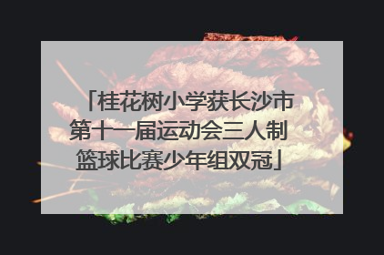 桂花树小学获长沙市第十一届运动会三人制篮球比赛少年组双冠