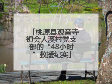 桃源县观音寺镇会人溪村党支部的“48小时”救援纪实