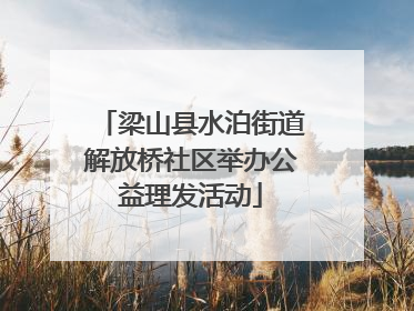 梁山县水泊街道解放桥社区举办公益理发活动