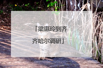 梁惠玲到齐齐哈尔调研
