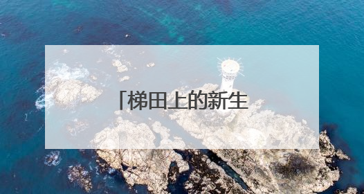 梯田上的新生：云和社区矫正五载耕耘路