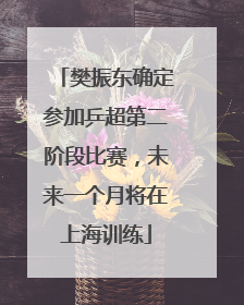 樊振东确定参加乒超第二阶段比赛，未来一个月将在上海训练
