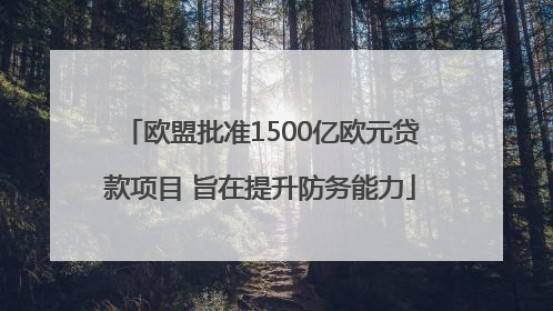 欧盟批准1500亿欧元贷款项目 旨在提升防务能力