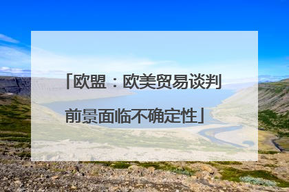 欧盟：欧美贸易谈判前景面临不确定性