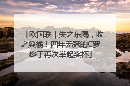 欧国联｜失之东隅，收之桑榆！四年无冠的C罗终于再次举起奖杯
