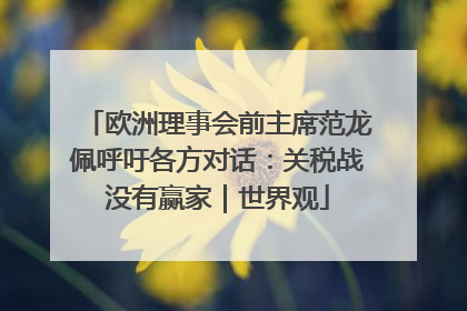 欧洲理事会前主席范龙佩呼吁各方对话：关税战没有赢家｜世界观