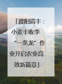 濮阳清丰：小麦丰收季 “一条龙”作业开启农业高效新篇章