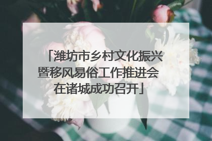 潍坊市乡村文化振兴暨移风易俗工作推进会在诸城成功召开