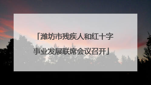潍坊市残疾人和红十字事业发展联席会议召开