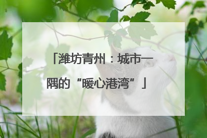 潍坊青州：城市一隅的“暖心港湾”