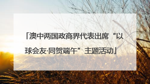 澳中两国政商界代表出席“以球会友·同贺端午”主题活动