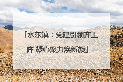 水东镇：党建引领齐上阵 凝心聚力焕新颜