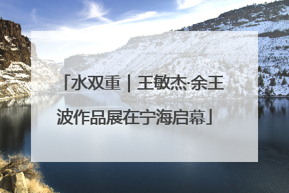 水双重｜王敏杰·余王波作品展在宁海启幕