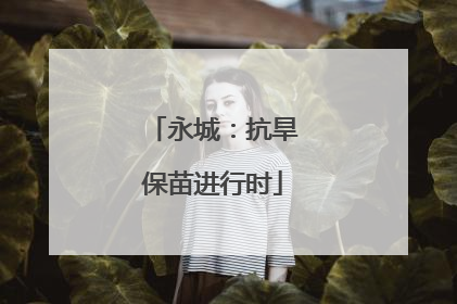 永城：抗旱保苗进行时