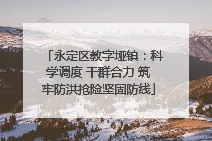 永定区教字垭镇：科学调度 干群合力 筑牢防洪抢险坚固防线