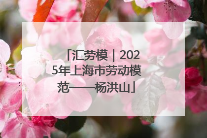 汇劳模｜2025年上海市劳动模范——杨洪山