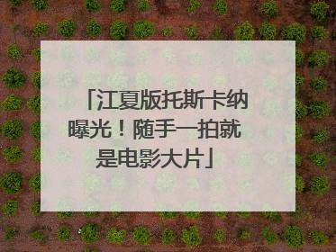 江夏版托斯卡纳曝光！随手一拍就是电影大片