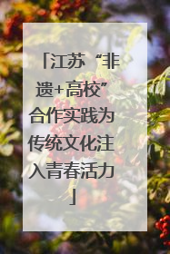 江苏“非遗+高校”合作实践为传统文化注入青春活力